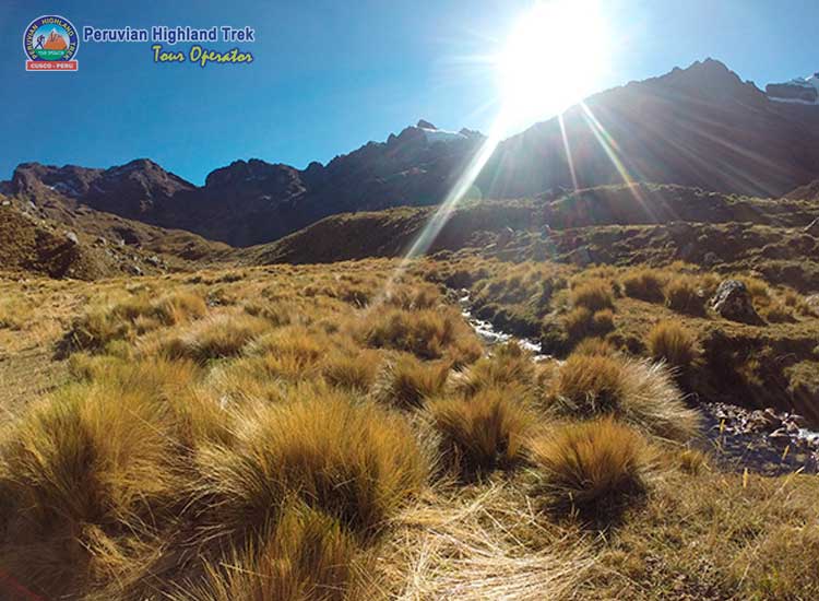 Peruvian Highland Trek